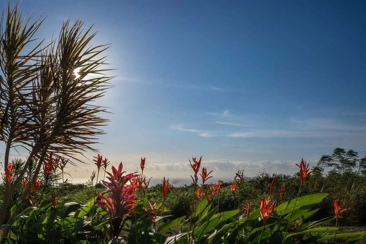 The Aloha Green House Retreat With Ocean Views! Naalehu Διαμέρισμα